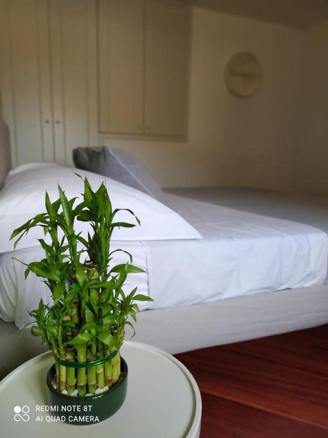 Marechiaro Home Holiday Вико-Экуенсе Экстерьер фото